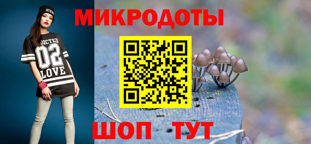 Галлюциногенные грибы Psilocybe Златоуст